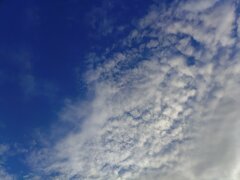 青空と鱗雲（10月14日）