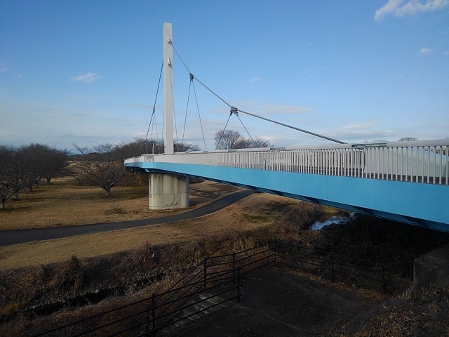 ゆうゆうパークの高いところからの橋（1月3日）