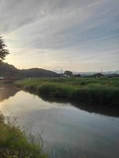幅の広い川（6月12日）