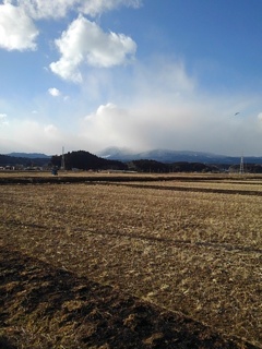 晴れた日の水田と山（2月19日）