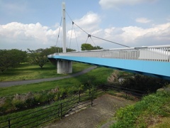 丘から見えた陸橋（4月26日）
