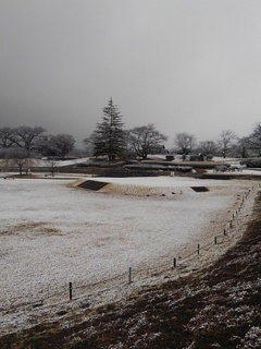 雪の日の広場（2月8日）