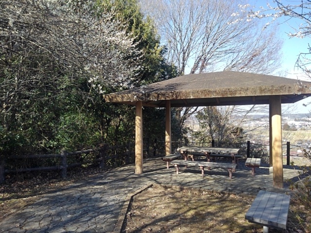 川崎城跡の丘の休憩所（3月3日）