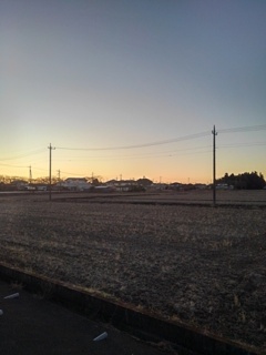水田地帯（2月20日）