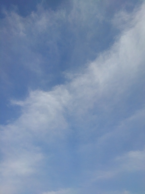 青空（5月22日）