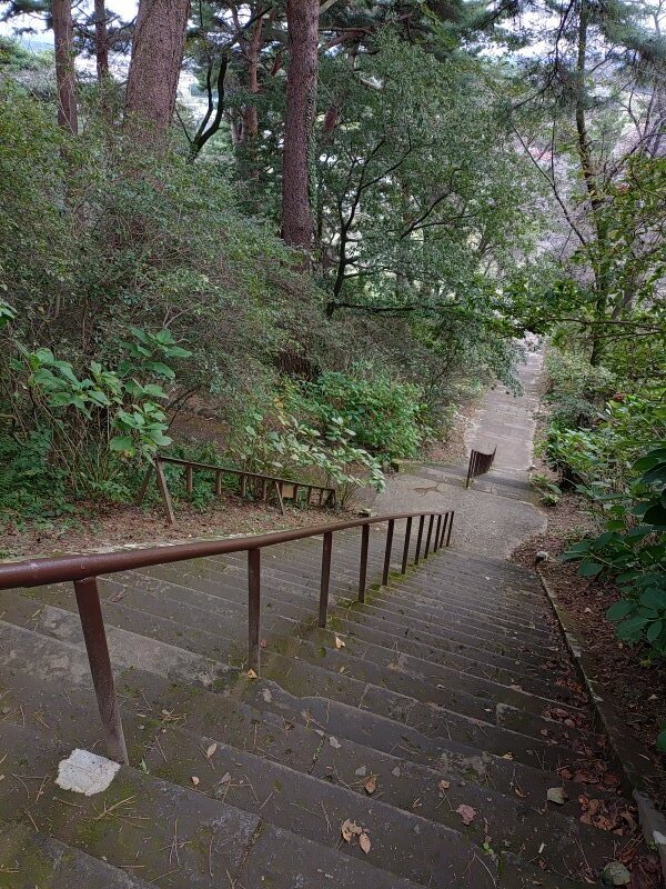 吸い込まれそうな階段（10月22日）