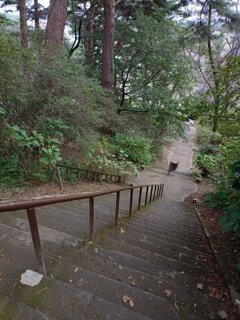 吸い込まれそうな階段（10月22日）