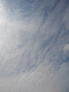 鱗雲（4月27日）