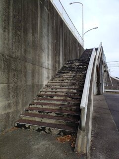 陸橋の階段（11月5日）