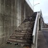 陸橋の階段（11月5日）