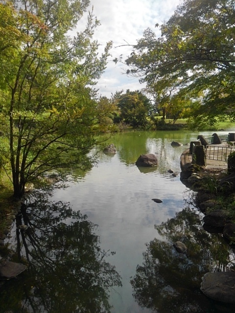 那須野が原公園の池と小川の境目（10月14日）
