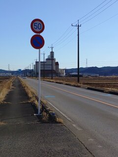 道路標識（1月4日）