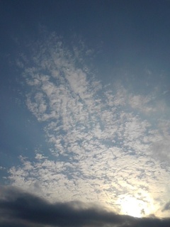 夕方の鱗雲（6月7日）