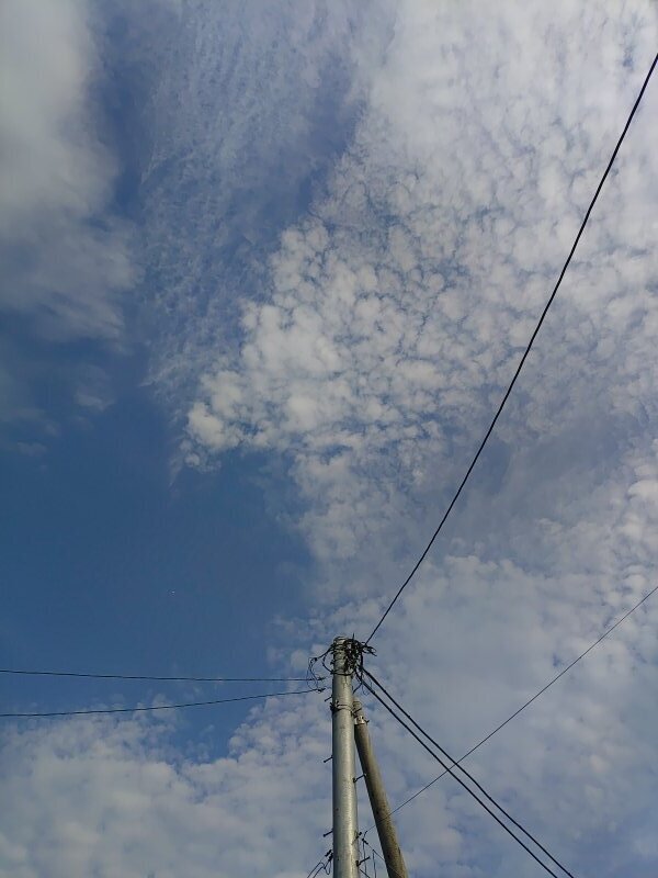 電柱と鱗雲（8月29日）