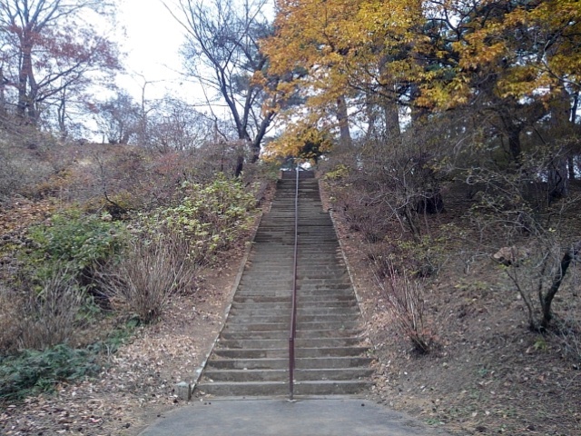上り階段（12月7日）