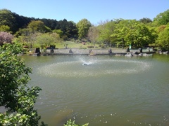 噴水（4月30日）