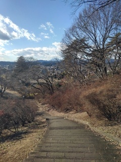 長峰公園の丘の下り階段（1月1日）
