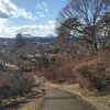 長峰公園の丘の下り階段（1月1日）
