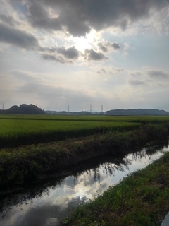 映り込みの用水路（8月3日）