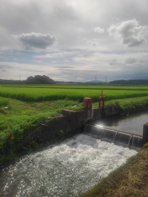用水路の堰がある景色（7月18日）