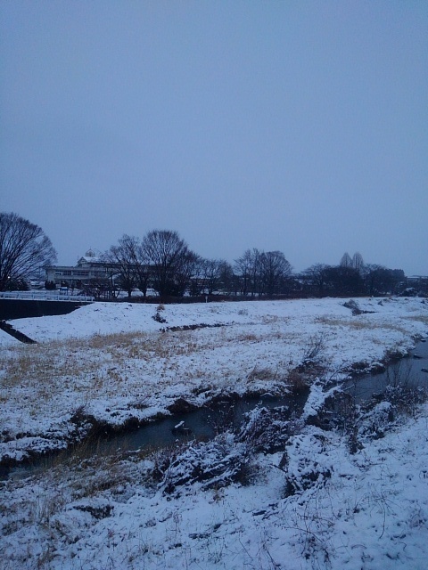 雪が積もった川原（3月5日）