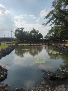 映り込みが奇麗な水面（8月5日）