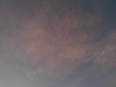 朝の青空（11月26日）