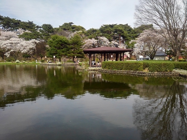 池の岸辺の休憩所（4月13日）