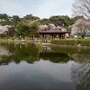 池の岸辺の休憩所（4月13日）