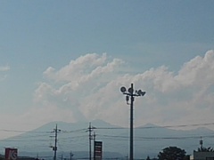 街灯の奥の入道雲（7月7日）