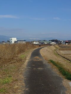 土手の道（12月8日）