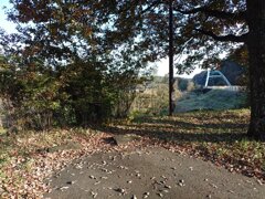 落ち葉が積もる駐車場（11月17日）