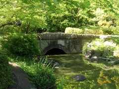 那須野が原公園の池と小川の境目の橋（5月2日）