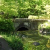 那須野が原公園の池と小川の境目の橋（5月2日）