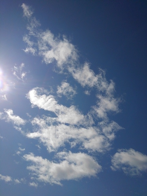 青空（4月4日）