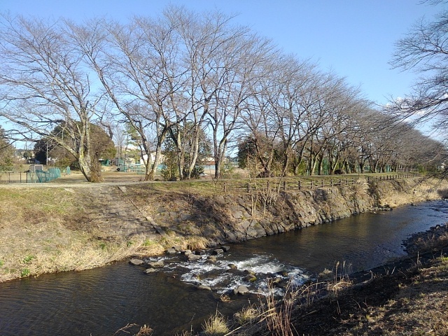 石垣と川の組み合わせ（3月1日）