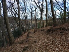 長峰公園の丘の森（1月1日）