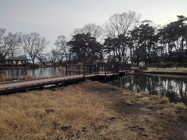 烏ヶ森公園の池の橋のある景色（2月1日）