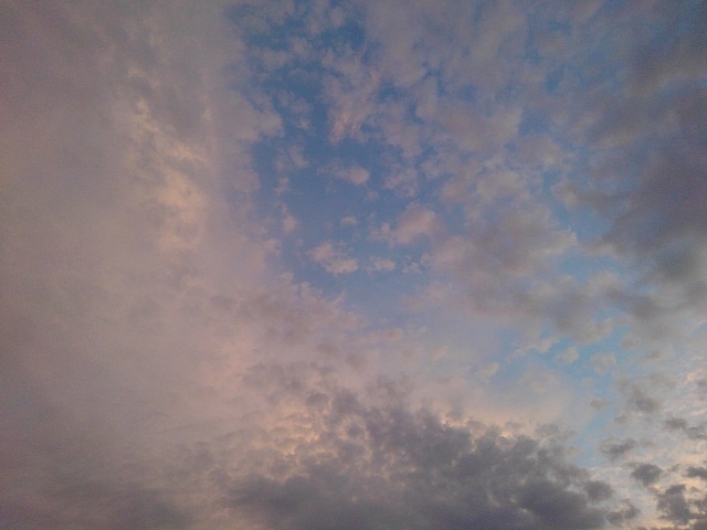 赤い鱗雲（7月1日）