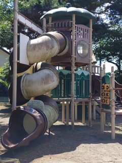 蛇の滑り台（8月8日）