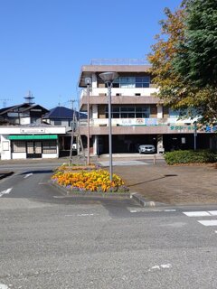 矢板駅の駅前花壇(10月24日) 矢板駅の駅前花壇(10月24日)