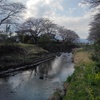 映り込みが綺麗な川（4月7日）
