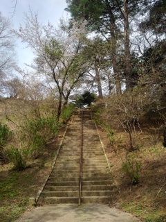 烏ヶ森公園の丘の上り階段（4月13日）