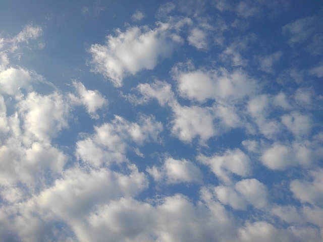 夏の鱗雲（6月19日）