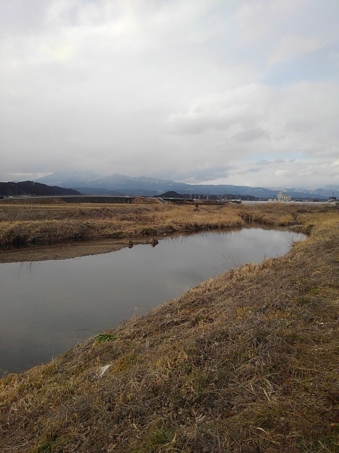 曇りの映り込みの川（1月28日）