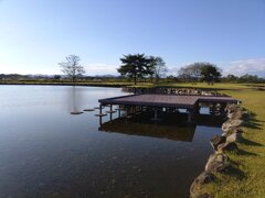 ゆうゆうパークの池の桟橋（10月27日）