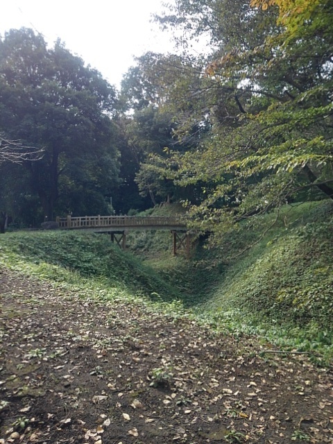 土手の道と陸橋（10月12日）