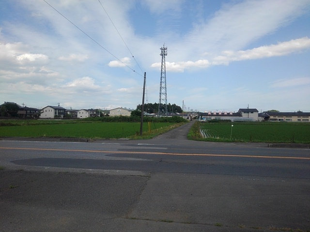 道路の奥の鉄塔（6月26日）