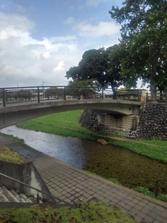 公園の橋（9月1日）