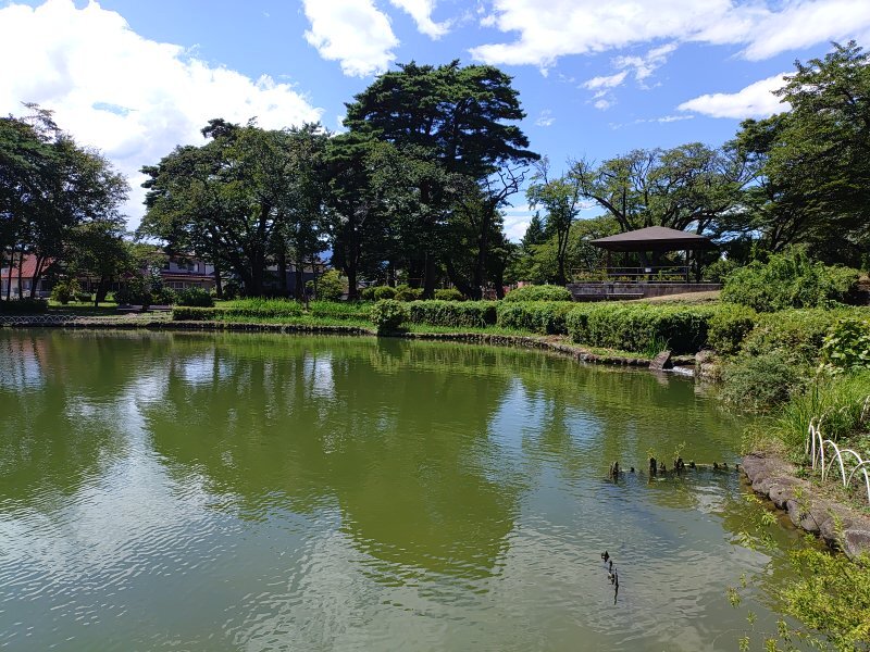 烏ヶ森公園の岸辺のカーブ（8月8日）